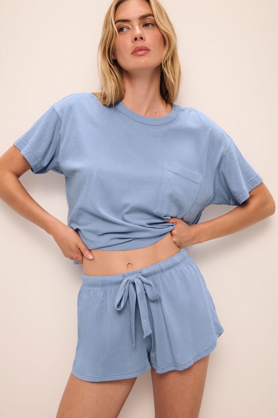 Eberjey Aloe Cotton Short Sleeve Women T-Shirt Blue | LXS7682FM